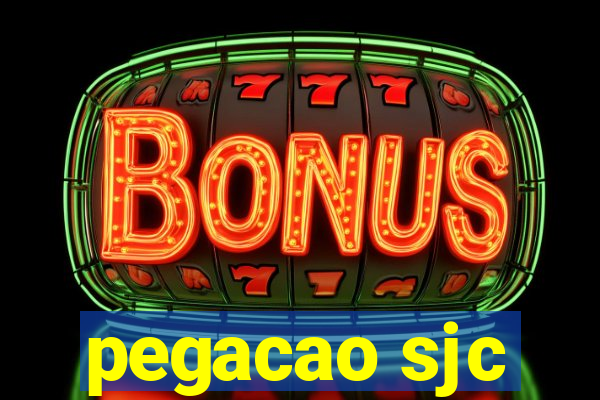 pegacao sjc